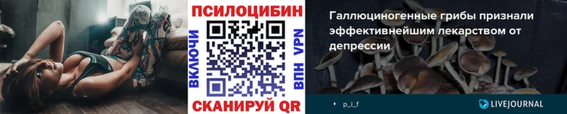 продажа наркотиков  KRAKEN как войти  Псилоцибиновые грибы мицелий  Ува 
